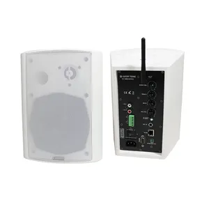 5 Inci 30W Pa Sistem Dalam Ruangan Aktif Nirkabel 2 Cara Mengajar Bluetooth Wall Mount Speaker untuk Ruang Kelas