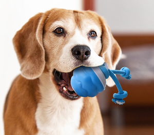 Nuevos juguetes de pelota interactivos inteligentes para perros, pelota rodante móvil automática para juguete para perros con luz LED de cuerda extraíble - Product Image 2