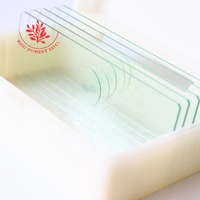 Dicotyledonous Plant Stem Cross Cut Sunflower Stem Cross Cut Slide Fresh Clear and Easy to See Biological Microscope Slide