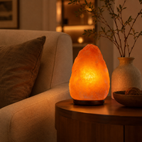 Lampe en sel rose de l'Himalaya de forme naturelle avec base en bois, variateur de lumière tactile, décoration d'ambiance pour chambre à coucher de Noël, vente en gros