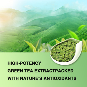 Capsules de thé vert de haute pureté - 45% de <span class=keywords><strong>catechines</strong></span>, approvisionnement en vrac certifié ISO22000/HACCP - Product Image 3