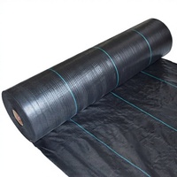 Toile de paillage durable 100g pour jardin, tapis anti-mauvaises herbes, couverture de sol pour l'agriculture