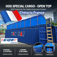 Tür-zu-Tür Lagerung Fracht FBA DDP Express nach Frankreich UPS Versand Logistik Tracking FedEx Service Transport OOG