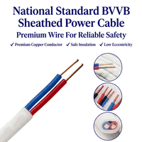 Câble plat en cuivre massif isolé et gainé PVC BVVB 10 AWG IP68 300V/500V, support OEM, directement de l'usine SZYL