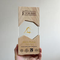Plaque de trophée en cristal transparent personnalisée en gros avec base en bois