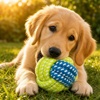 Jouet pour chien en corde de coton nouée, balle à mâcher pour chiot, corde à tirer, interactivité pour la bruxismes canin, pour Labradors, Border Collies, Golden Retrievers, amusant