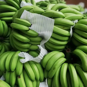 Vente en gros en vrac d'amidon résistant à la tendance 100% farine de <span class=keywords><strong>banane</strong></span> verte Pure de qualité alimentaire - Product Image 2