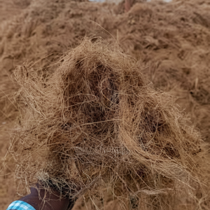 Fibra de coco natural de alta calidad para colchones, cepillos, cuerdas, esteras para cultivo, fibra de coco para mantillo, venta al por mayor de La India - Product Image 1