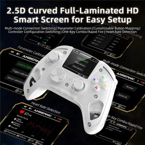 Manette de jeu ANBERNIC RGG01 avec déclencheurs à effet Hall sans fil 2.4G, disposition XB OX, écran intelligent IPS incurvé 2.5D – Vente en gros usine - Product Image 2