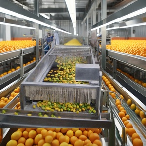Ligne de production de fruits entièrement automatique, neuve, machine de fabrication à haut rendement, produisant des volumes importants - Product Image 1