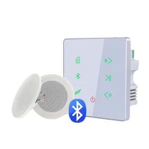 Bluetooth Smart Home In Wall Amplifier Sistem Musik Latar Belakang Stereo dengan Loudspeaker Tersembunyi Yang Cocok