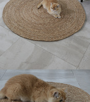 Planche à gratter pour chat, tapis en papyrus pour chenil, résistant à l'usure, anti-aboiement, anti-griffures, planche à griffes pour chat, carton de Noël