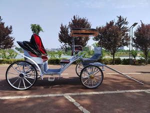 Charrette de tourisme de luxe électrique pour le transport dans les centres de villégiature, les mariages et les zones panoramiques - Product Image 4