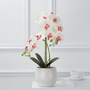 Ingrosso Orchidea Farfalla Faux Artificial Fioriture Arredamento alto realistico per Muro senza tempo festa del Ringraziamento festa della mamma - Product Image 2