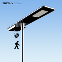 Projecteur solaire de haute qualité SRESKY pour projets gouvernementaux, lampadaires solaires étanches pour extérieur, 60w 80w, lampadaire solaire LED