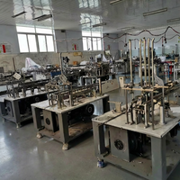 Équipement de mise en carton pour flacons de gouttes oculaires BFH-160, inséreur automatique de prospectus et érecteur de cartons, contrôle PLC
