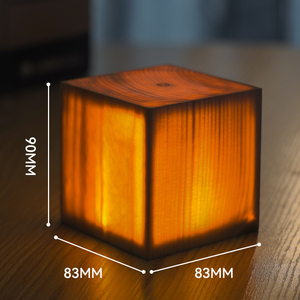 Plastic Tulip Night <b>Light</b> Warm White LED Manual Button Control Middle Size <b>USB</b> <b>Rechargeable</b> Minimalist Design for Home Bedroom - Product Image 1