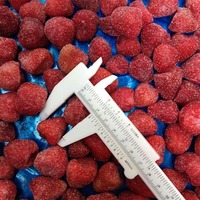 Groothandel Beste Kwaliteit Kant-en-klare Zeer Voedzame IQF Aardbeien Diepvries Vers Fruit Diepvries Verse Aardbeien voor Export