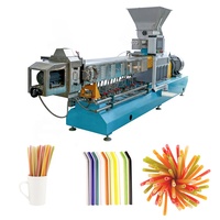 Machine extrudeuse automatique pour la fabrication de pailles à boire comestibles biodégradables en riz, ligne de production de pailles en riz, directement de l'usine