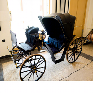 Mini Carruaje Personalizado de Caballos con Diseño Moderno, Construcción Ligera de Metal y Madera - Product Image 1