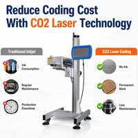 Codeur laser CO2 directement de l'usine pour l'emballage alimentaire, carton, date, numéro de lot, machine de marquage permanent CE ISO