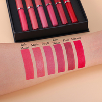 Vente en Gros Kit de Rouges à Lèvres Personnalisable Logo Personnalisé Cosmétique Végétalien Longue Tenue Marque Privée Rouge à Lèvres Liquide Mat
