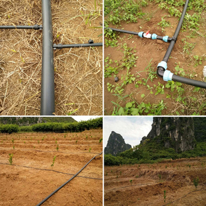 Agriculture <span class=keywords><strong>Tuyau</strong></span> et tube d'irrigation <span class=keywords><strong>goutte</strong></span> <span class=keywords><strong>à</strong></span> <span class=keywords><strong>goutte</strong></span> en plastique PE LDPE 16mm pour connecter les systèmes <span class=keywords><strong>goutte</strong></span> <span class=keywords><strong>à</strong></span> <span class=keywords><strong>goutte</strong></span> de serre <span class=keywords><strong>à</strong></span> la maison - Product Image 4