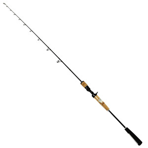 Fuji Fishing Rod - 2-Piece Carbon Saltwater Jigging Rod