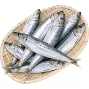 Sardinas Congeladas de Alta Calidad, Enteras y Redondas, Sardinella Aurita, 12-16 16-20 Piezas/kg, BQF, Precio al por Mayor - Product Image 1