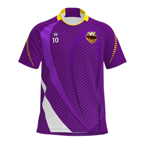 Ystar hoogwaardige fabrieksvoetbalshirts retro stijl nieuw seizoen voetbaltenue op maat gemaakte voetbalteamlogo uniform te koop - Product Image 2
