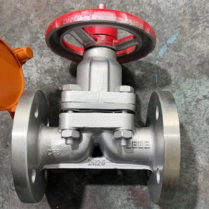 Válvula de diafragma con revestimiento de fluoropolímero DN25 1 pulgada, control manual, resistente a ácidos y álcalis - Product Image 1