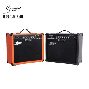 Toptan 40W özel elektrikli gitar amplifikatörü farklı watt ile hoparlör USB gitar amp