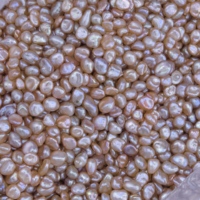 Mutiara Air Tawar Keshi 6-8mm Bentuk Oval Beras Tidak Beraturan, Campuran Warna Ungu Pink Champagne, Mutiara Alami