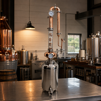 Distillateur d'alcool continu Teve 50L de qualité industrielle pour alcool de qualité alimentaire, équipement de distillation domestique