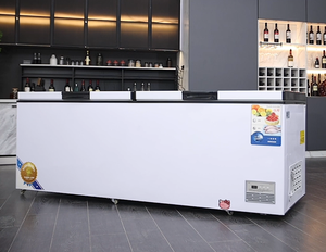 <span class=keywords><strong>Congélateur</strong></span> horizontal commercial à double porte, plusieurs tailles, pour restaurant, supermarché, conservation des aliments congelés - Product Image 3