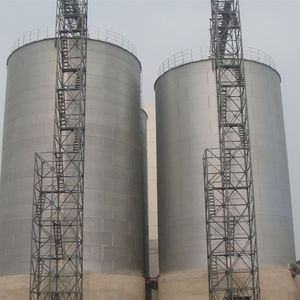 Nuovo Silo a Fondo Piatto con Capacità 1000-15000 Tonnellate Costruzione Zincata Certificato ISO9001 CE per Stoccaggio Grano - Product Image 4