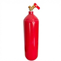 Nouvel Arrivage Sunjoy Kit de Soudage et de Découpe Portable Acétylène-Oxygène Plaqué Cuivre avec Torche à Commutateur Rotatif et Bouteille de Gaz 54V