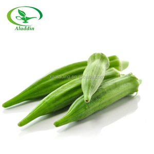 OEM/ ODM yüksek kalite Abelmoschus Esculentus bamya özü tozu 10:1 veya 20:1 konsantre bitki özü - Product Image 3