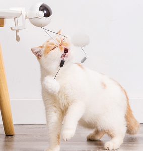 Giocattoli per gatti per gatti al coperto 2023 nuovi giocattoli interattivi di piume di gatto appesi automatici vanno su e giù giocattolo - Product Image 4