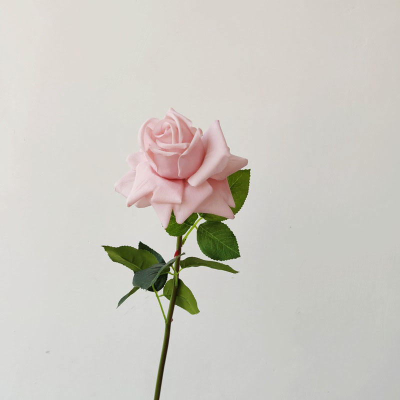 #1 ผิวสีชมพู