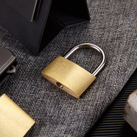 Cadenas en laiton de sécurité personnalisable avec logo, haute qualité, 20mm, 25mm, 30mm, vente en gros