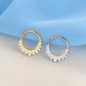 Lingchee G23 titane segment articulé cerceau <span class=keywords><strong>anneau</strong></span> avec Double CZ ligne bijoux <span class=keywords><strong>Piercing</strong></span> nez <span class=keywords><strong>anneau</strong></span> boucle d'<span class=keywords><strong>oreille</strong></span> hélice <span class=keywords><strong>oreille</strong></span> <span class=keywords><strong>anneau</strong></span> plus récent - Product Image 3