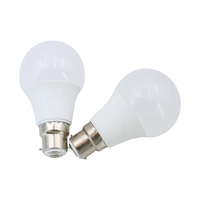 Ampoule LED A60 Haute Efficacité, Accessoires Certifiés CE & RoHS, Culot E27/B22, Usage Résidentiel, Ra>80, Angle de Faisceau 210 Degrés, 25000 Heures