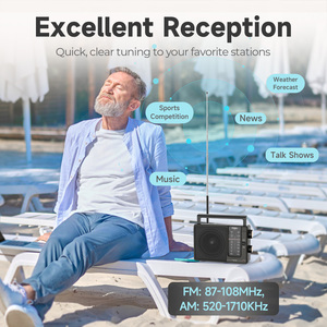 Radio Portátil Nueva 2026 de Fábrica OEM, Principalmente para <span class=keywords><strong>Europa</strong></span>, Marca Global PRUNUS Número 1 en Ventas AWS, Venta Directa de Fábrica - Product Image 4