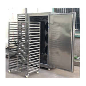 Máquina de Congelación Rápida de Alimentos Líquidos por Aire - Product Image 4