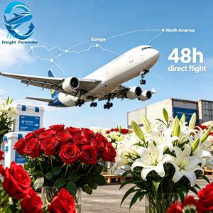 Transporte Aéreo de Flores Frescas en Cadena de Frío, de Kunming, China a AKL, <span class=keywords><strong>Nueva</strong></span> <span class=keywords><strong>Zelanda</strong></span>, Llegada Rápida en 48H, Servicio Profesional al <span class=keywords><strong>Aeropuerto</strong></span> - Product Image 5