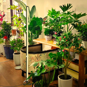 Area Penerangan Luas 3 Mode Lampu LED untuk Tanaman Hidroponik Dalam Ruangan Lampu Tanam Vertikal Spektrum Penuh - Product Image 3