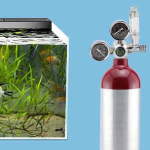 Acuario CO2 Difusor Regulador Acuario Co2 Generador Kit Válvula solenoide Válvula antirretorno Contador de burbujas FishTank Accesorios - Product Image 2