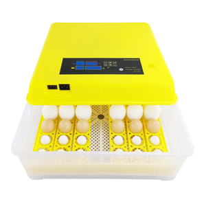 Œufs de <span class=keywords><strong>perdrix</strong></span> à couver à vendre avec certificat CE pour l'éclosion de 48 œufs - Product Image 4