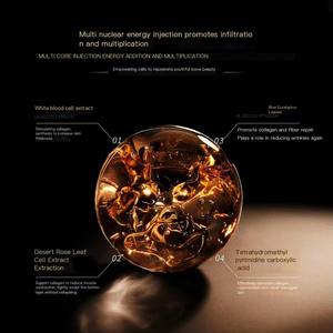 맞춤형 OEM 스킨케어 콜라겐 폴리펩타이드 리프팅 세럼 라이트 라인 브라이트닝 화이트 블러드 셀 안티링클 페이스 30ml - Product Image 3